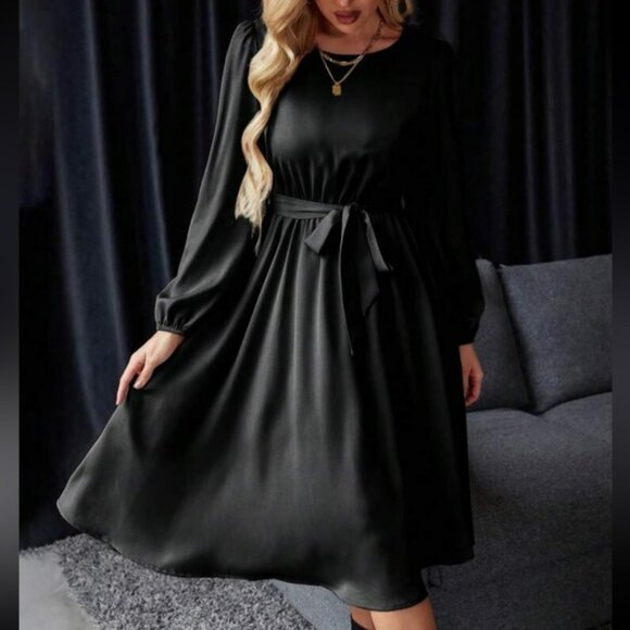 Luxe lantern sleeve belted dress - Picture 14 of 15